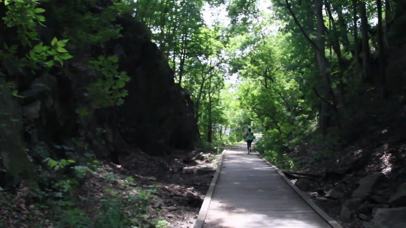 A person walks along a shaded wooden trail surrounded by fresh green trees at Banneker Park