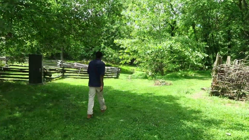 A man walks through a sunny green field surrounded by trees and old wooden fences at Banneker Park